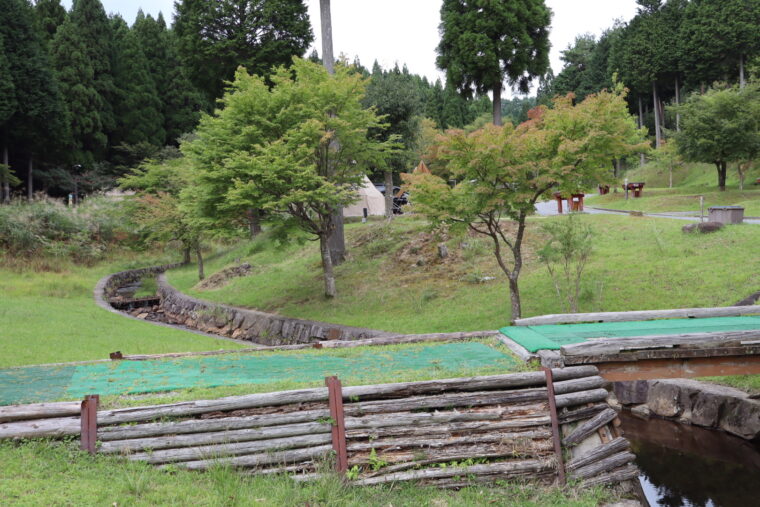 フォレストステーション芳賀　東山オートキャンプ場　小動物探し